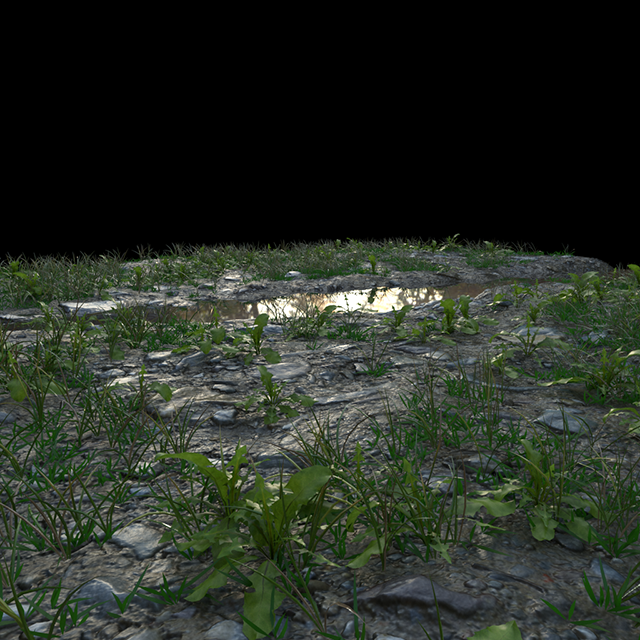 Test N° 5 · 0