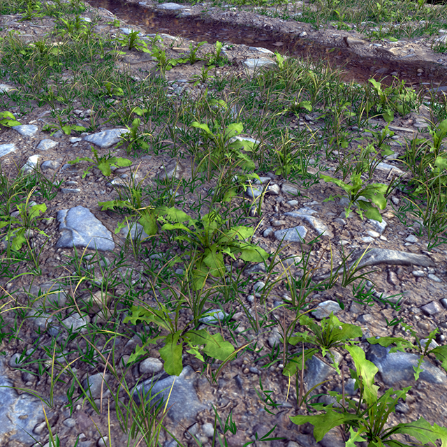 Test N° 5 · 1